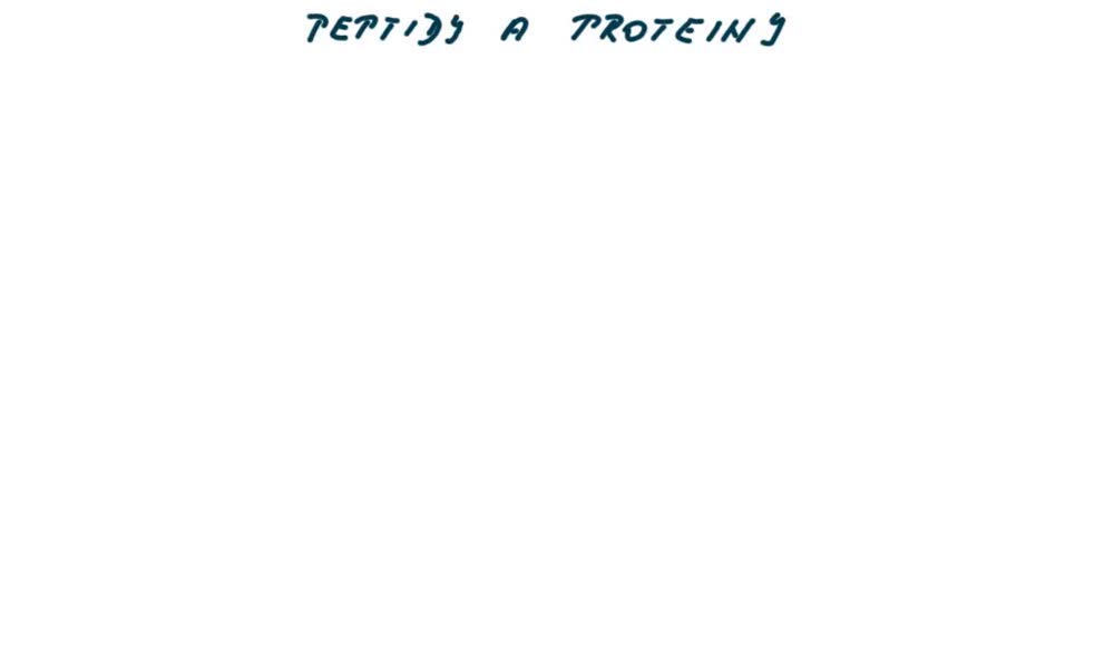1. náhled výukového kurzu Peptidy a proteiny - peptidická vazba 