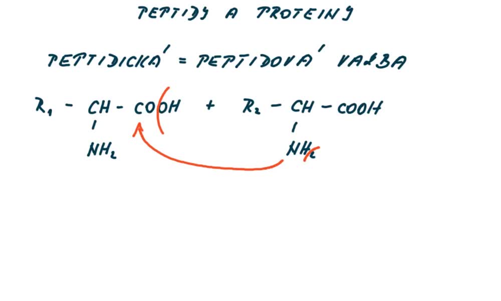 3. náhled výukového kurzu Peptidy a proteiny - peptidická vazba 