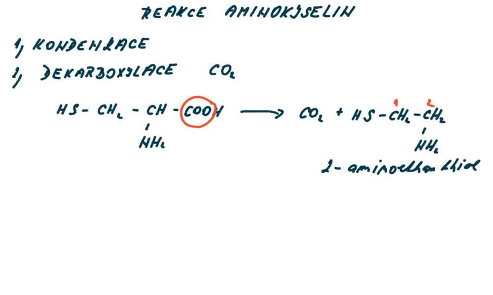 3. náhled výukového kurzu Reakce aminokyselin 