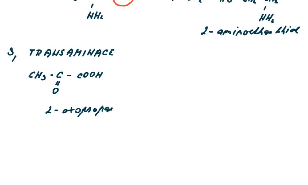 4. náhled výukového kurzu Reakce aminokyselin 