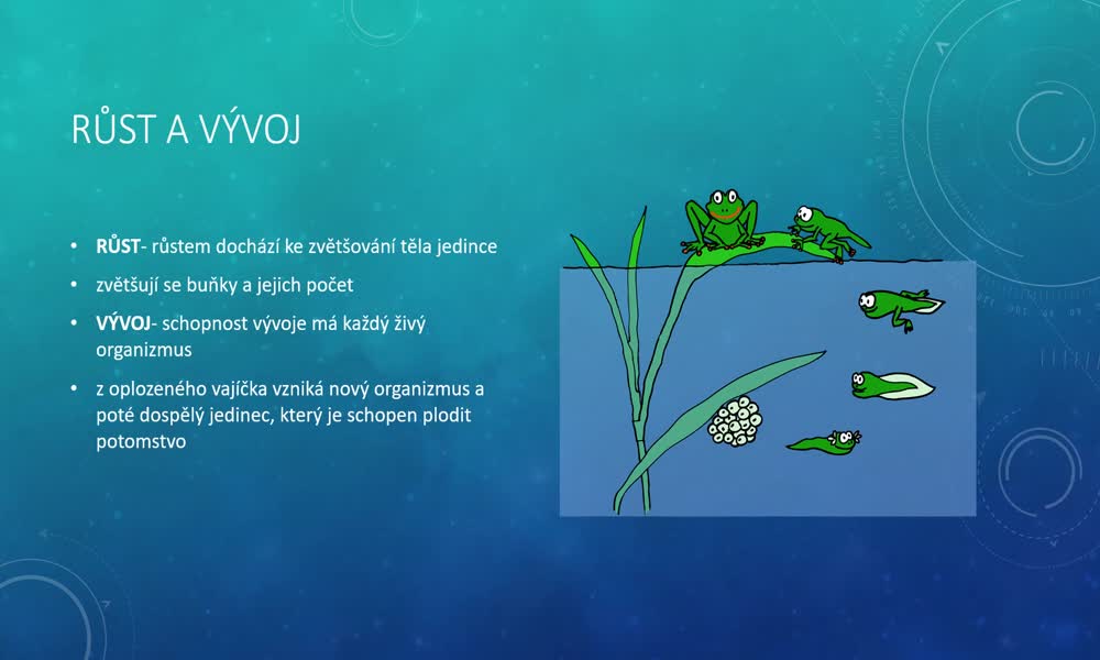 4. náhled výukového kurzu Fotosyntéza, dýchání, růst, rozmnožování 