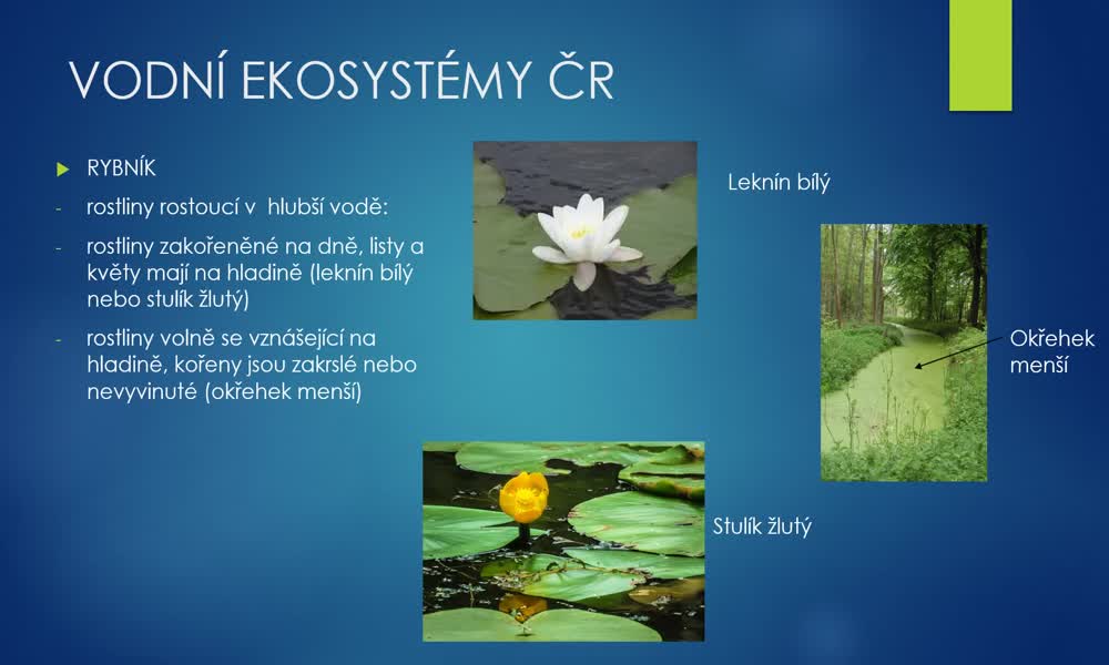 2. náhled výukového kurzu Vodní ekosystémy ČR