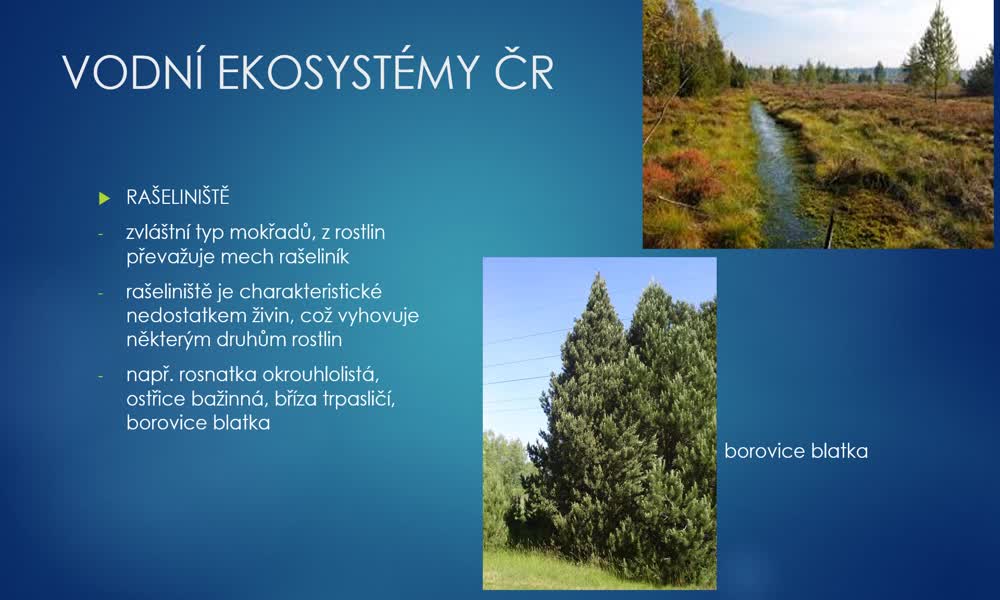 4. náhled výukového kurzu Vodní ekosystémy ČR