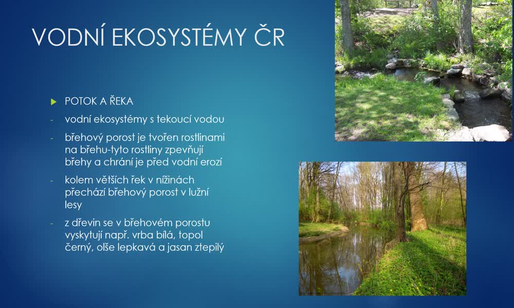 5. náhled výukového kurzu Vodní ekosystémy ČR