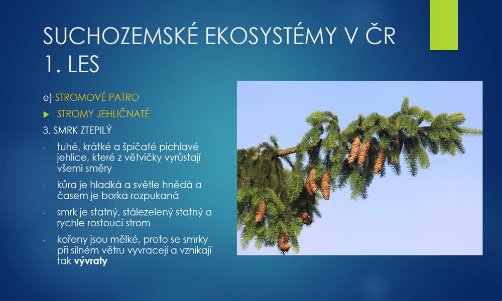 5. náhled výukového kurzu Suchozemské ekosystémy ČR - 1. část