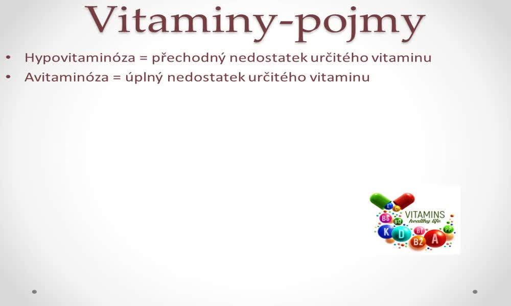 2. náhled výukového kurzu Vitaminy